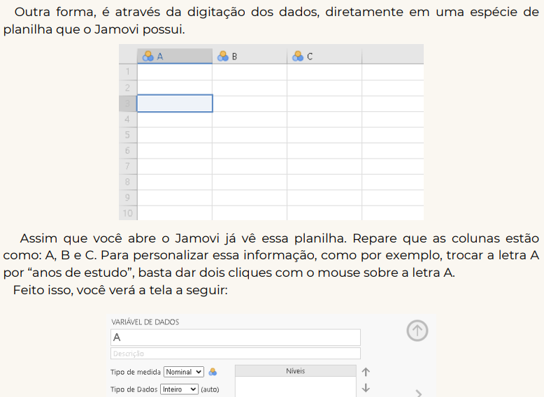 Tela de entrada de dados Jamovi